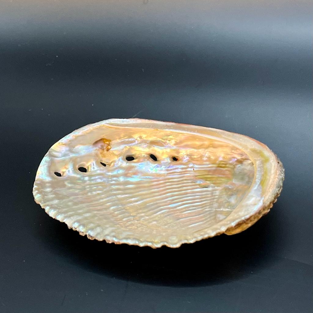 Abalone Shell Smudge Bowl